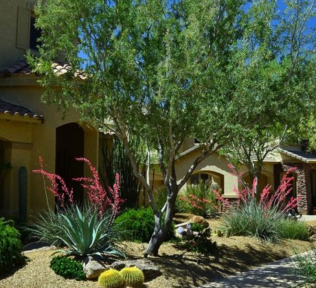 Landscape Architect Company In Phoenix Az, Desert Landscaping Ideas Phoenix Arizona