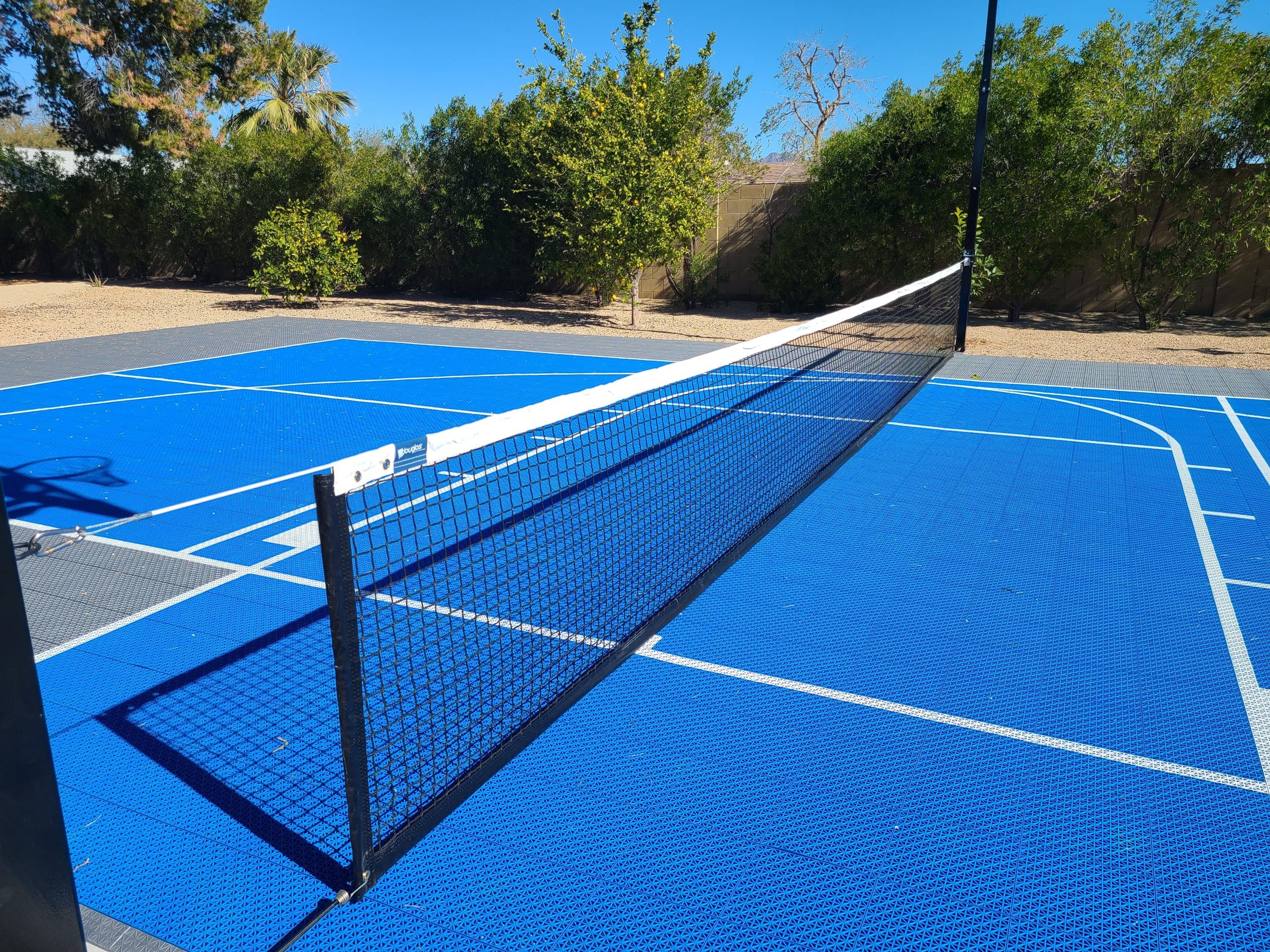 Volleyball/Badminton in Phoenix Arizona